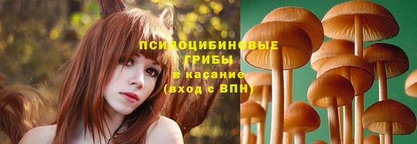 марки nbome Богданович