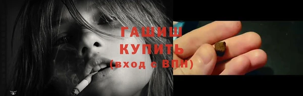 дмт Богородицк