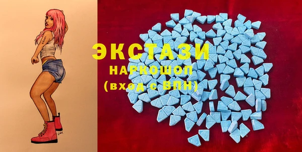 дмт Богородицк