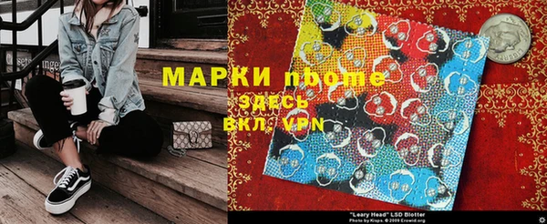 ГАЛЛЮЦИНОГЕННЫЕ ГРИБЫ Бородино