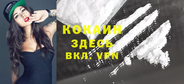 дмт Богородицк