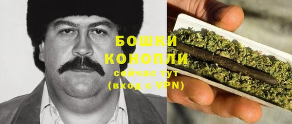 PSILOCYBIN Богородск